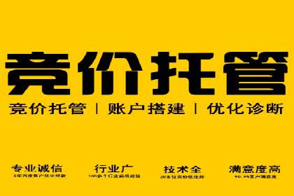 SEM广告案例解析：转化率提升策略